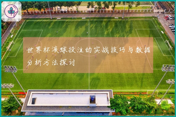 世界杯滚球投注的实战技巧与数据分析方法探讨
