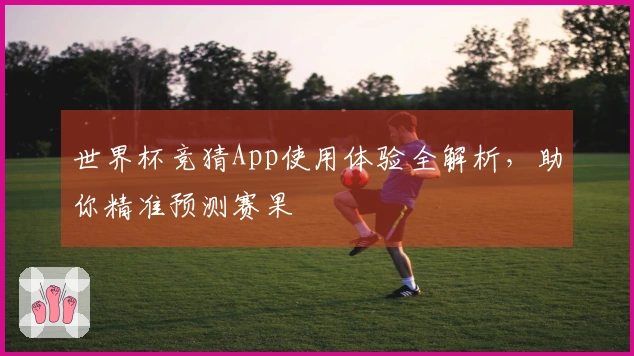 世界杯竞猜App使用体验全解析,助你精准预测赛果